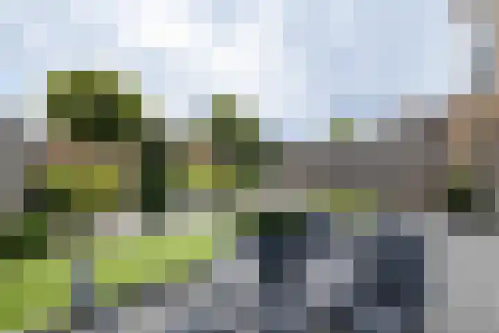 Slangemuur 32 Almelo thumbnail 31