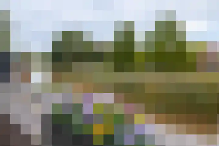 Slangemuur 32 Almelo thumbnail 32