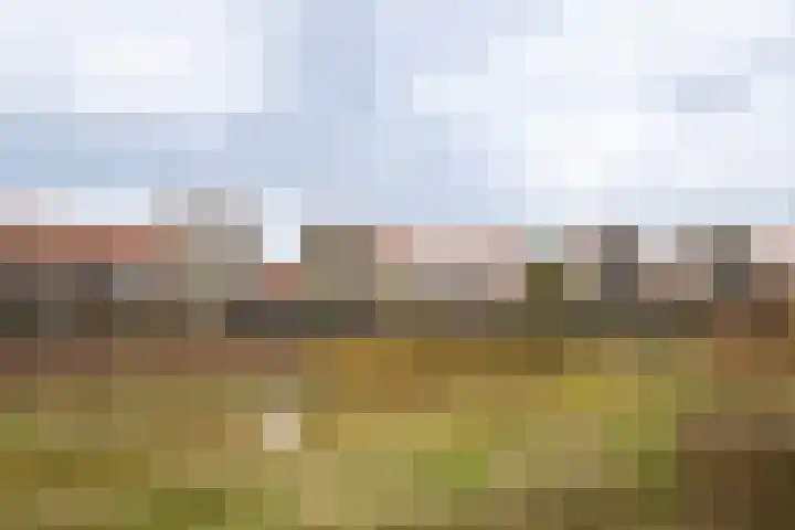 Slangemuur 32 Almelo thumbnail 33