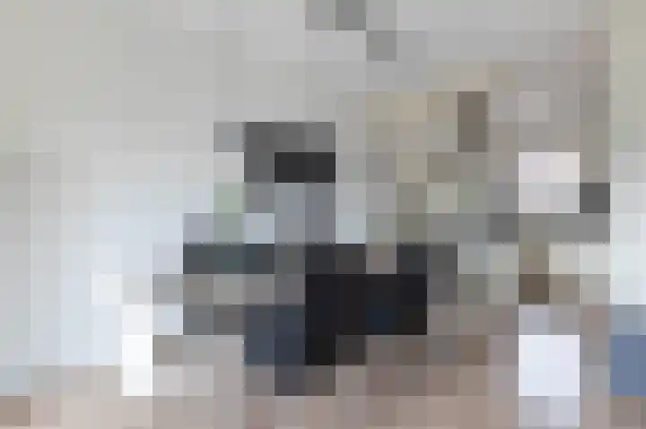 Slangemuur 32 Almelo thumbnail 9