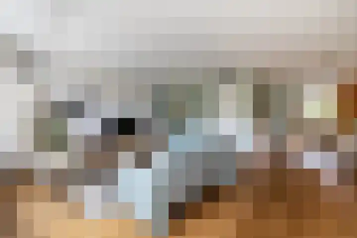 Slangemuur 4 Almelo thumbnail 12