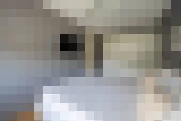 Slangemuur 4 Almelo thumbnail 17