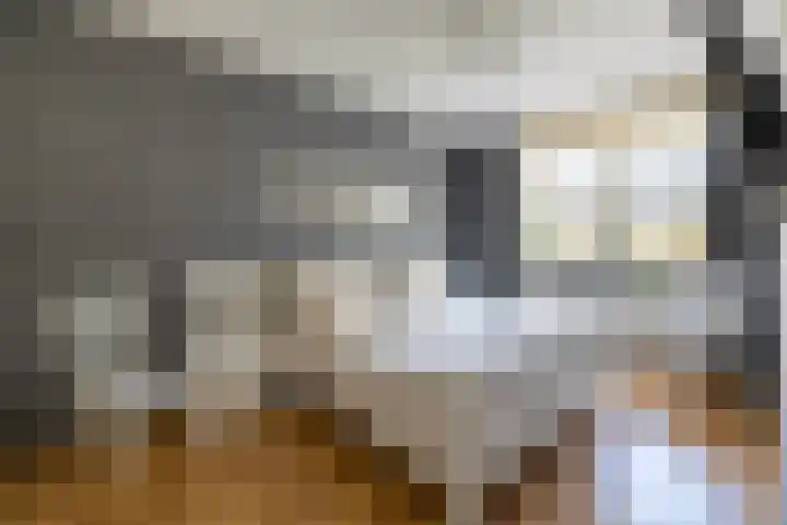 Slangemuur 4 Almelo thumbnail 19