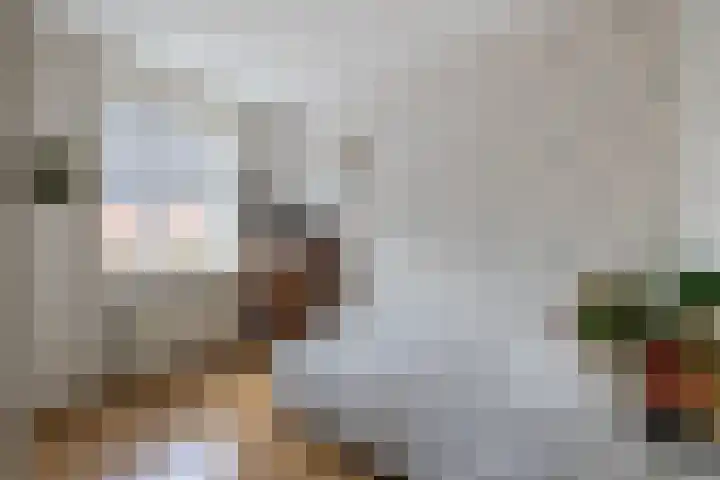 Slangemuur 4 Almelo thumbnail 20
