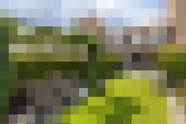 Slangemuur 4 Almelo thumbnail 24