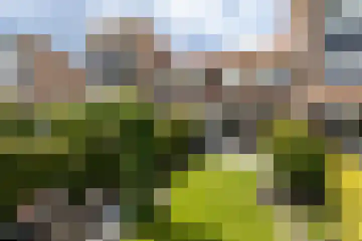 Slangemuur 4 Almelo thumbnail 25