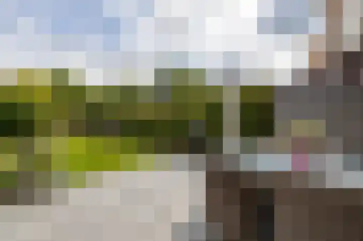 Slangemuur 4 Almelo thumbnail 26