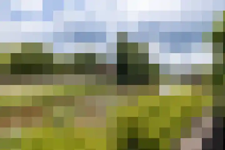Slangemuur 4 Almelo thumbnail 27
