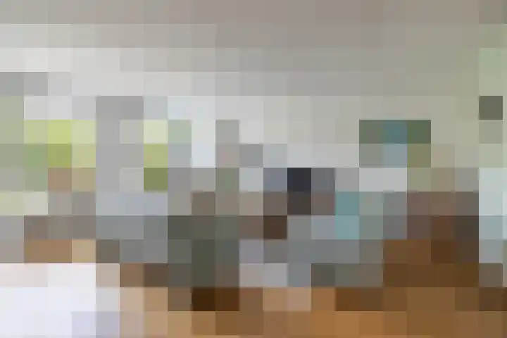 Slangemuur 4 Almelo thumbnail 5