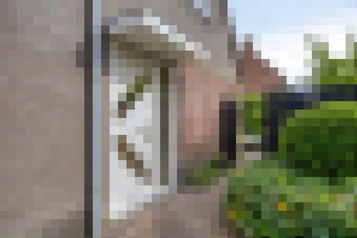 Slangenborg 20 Roden thumbnail 34
