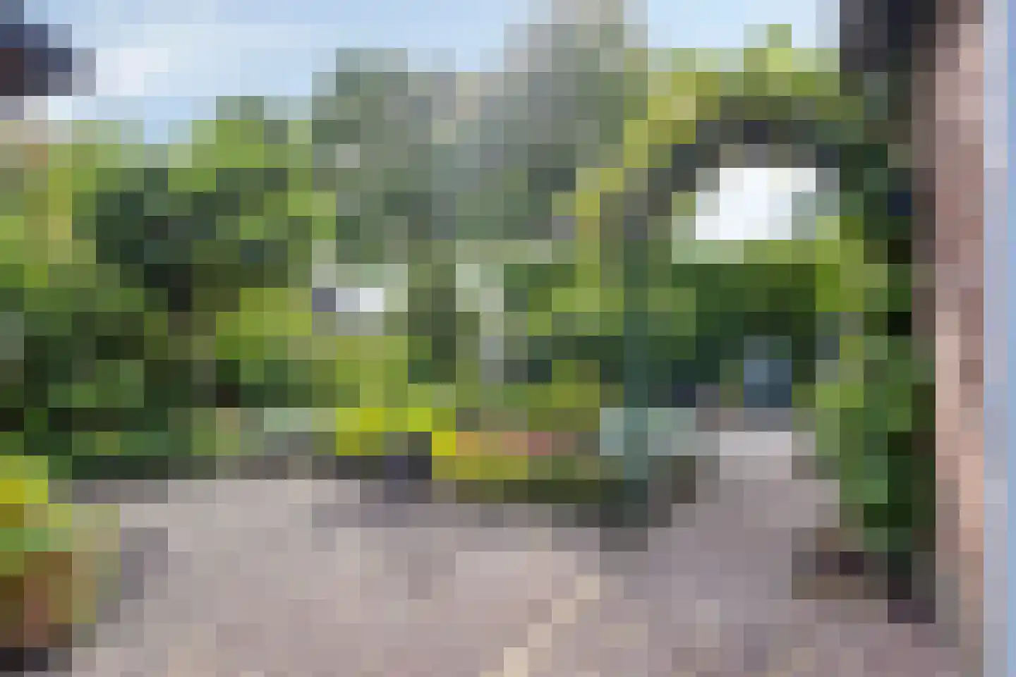 Slangenborg 20 Roden thumbnail 36