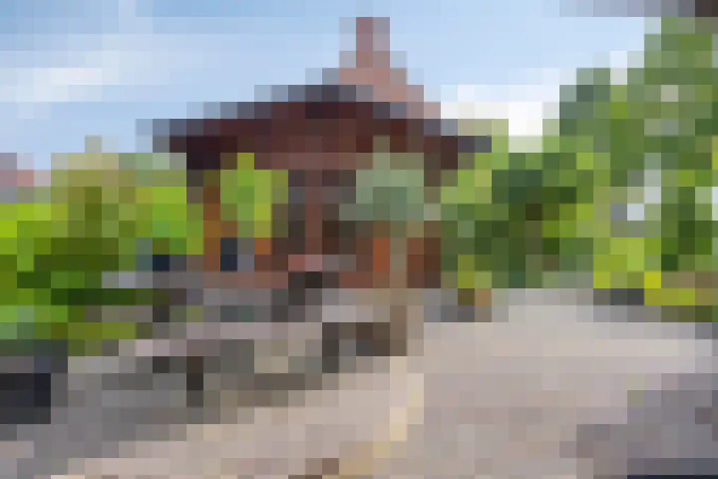 Slangenborg 20 Roden thumbnail 39