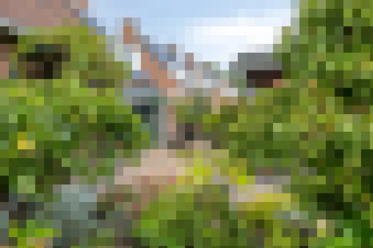 Slangenborg 20 Roden thumbnail 41