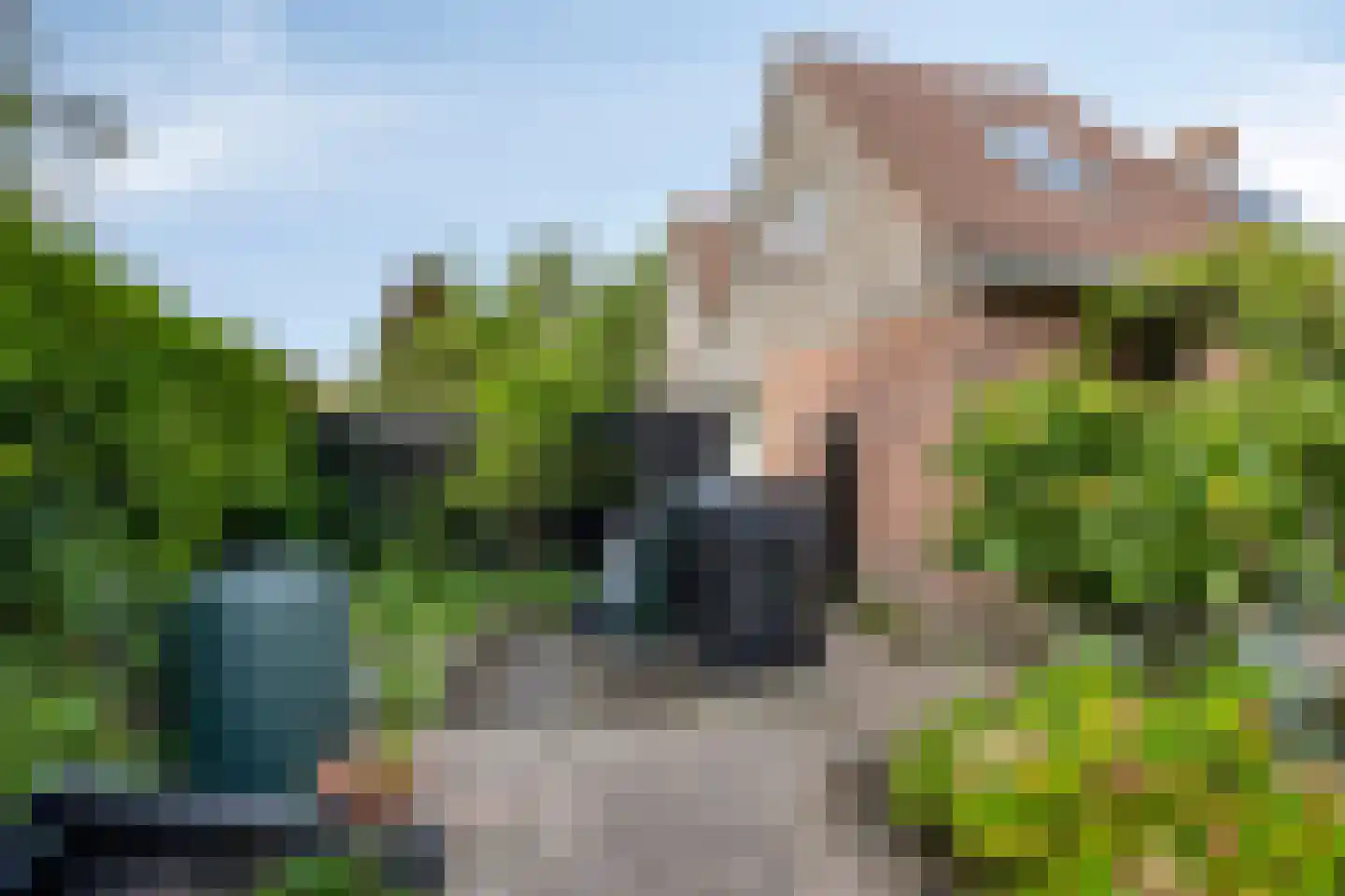 Slangenborg 20 Roden thumbnail 42