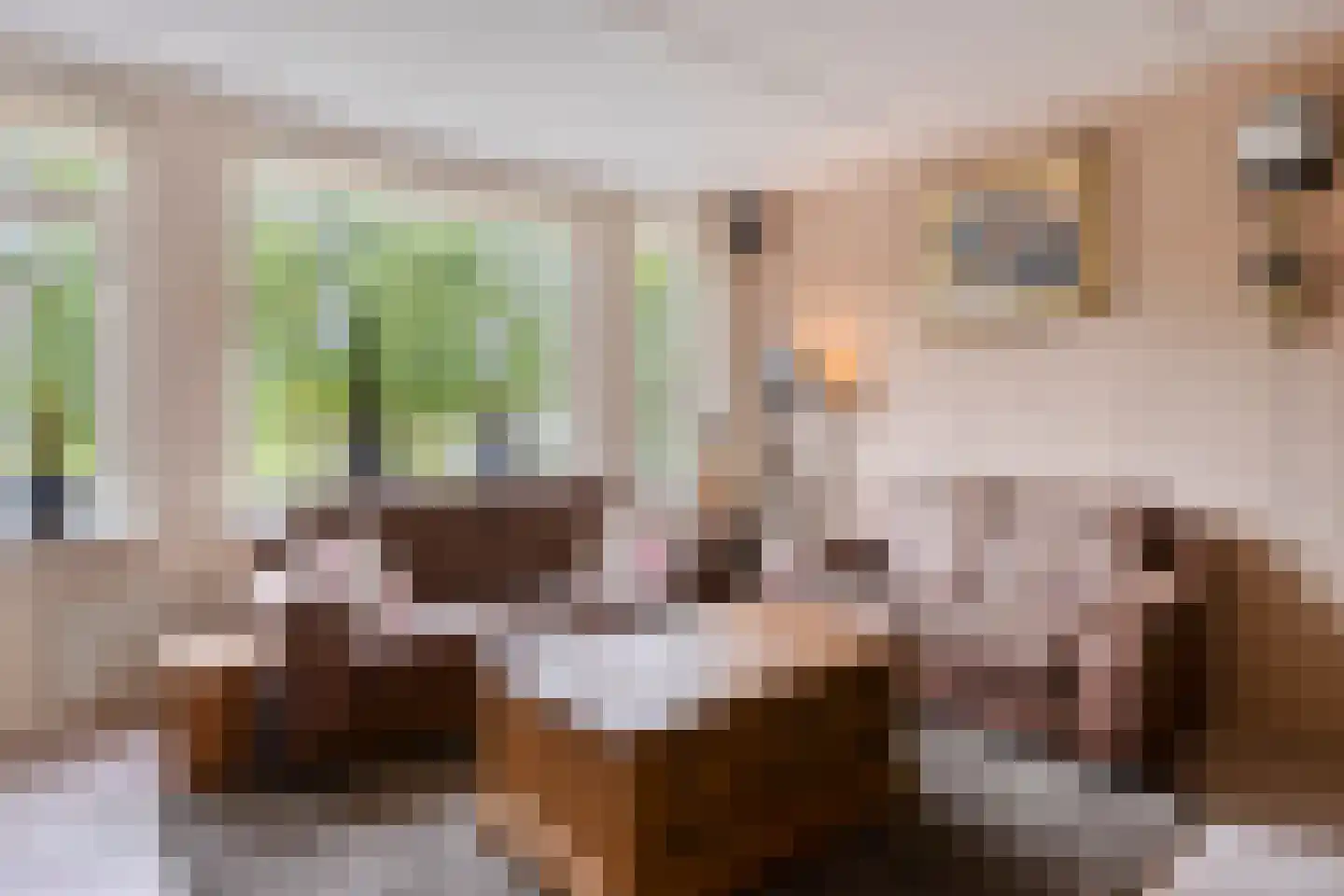 Slangenborg 20 Roden thumbnail 5