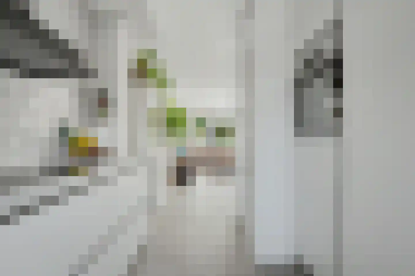 Slangenburch 20 Monster thumbnail 10