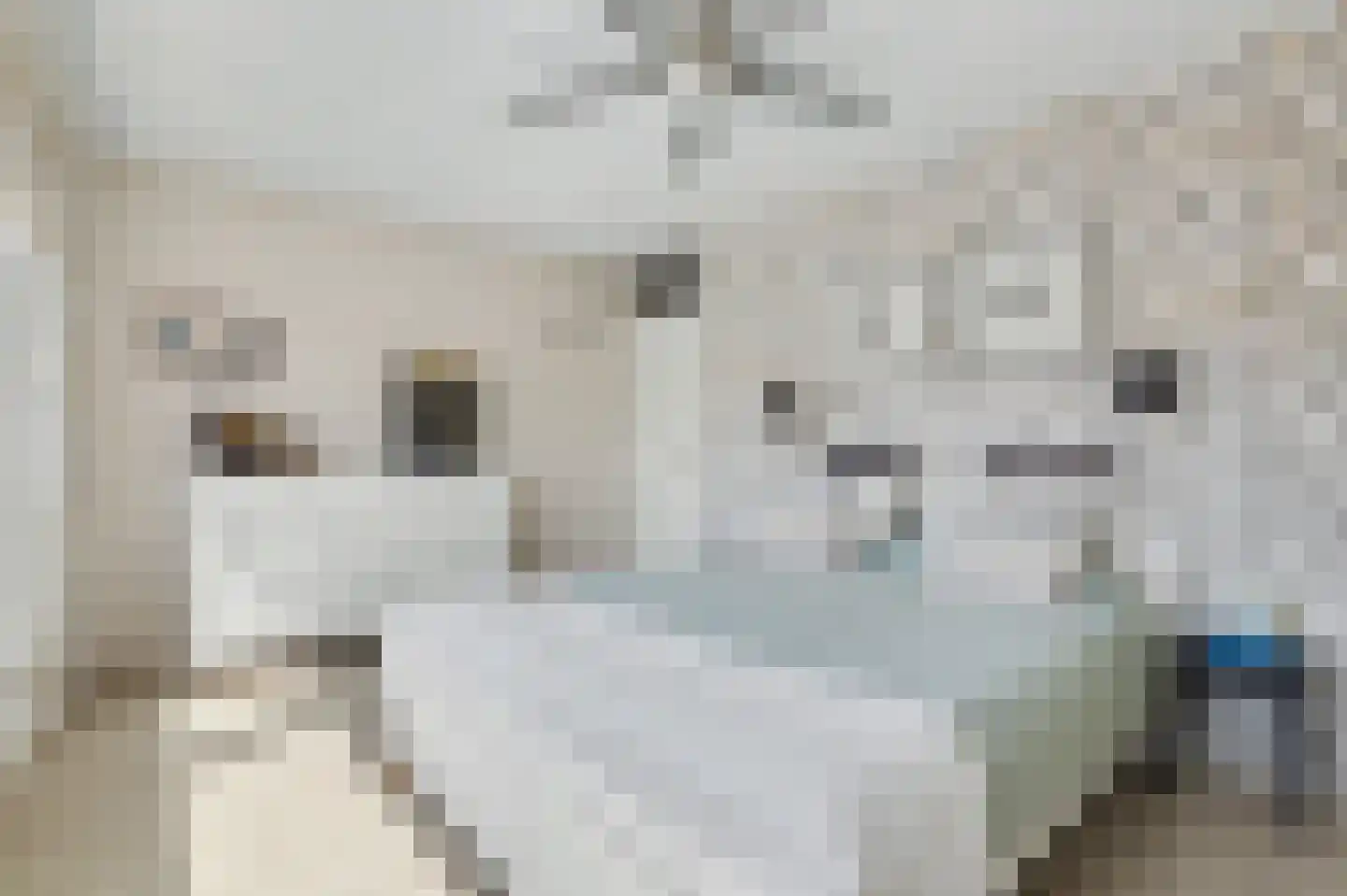 Slangenburch 20 Monster thumbnail 12