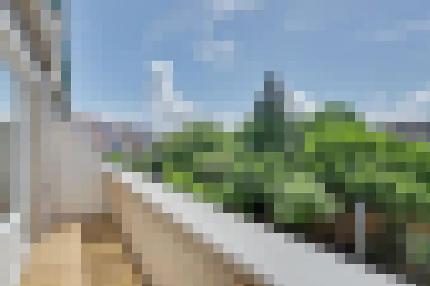 Slangenburch 20 Monster thumbnail 14