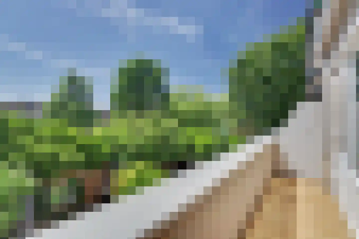 Slangenburch 20 Monster thumbnail 15
