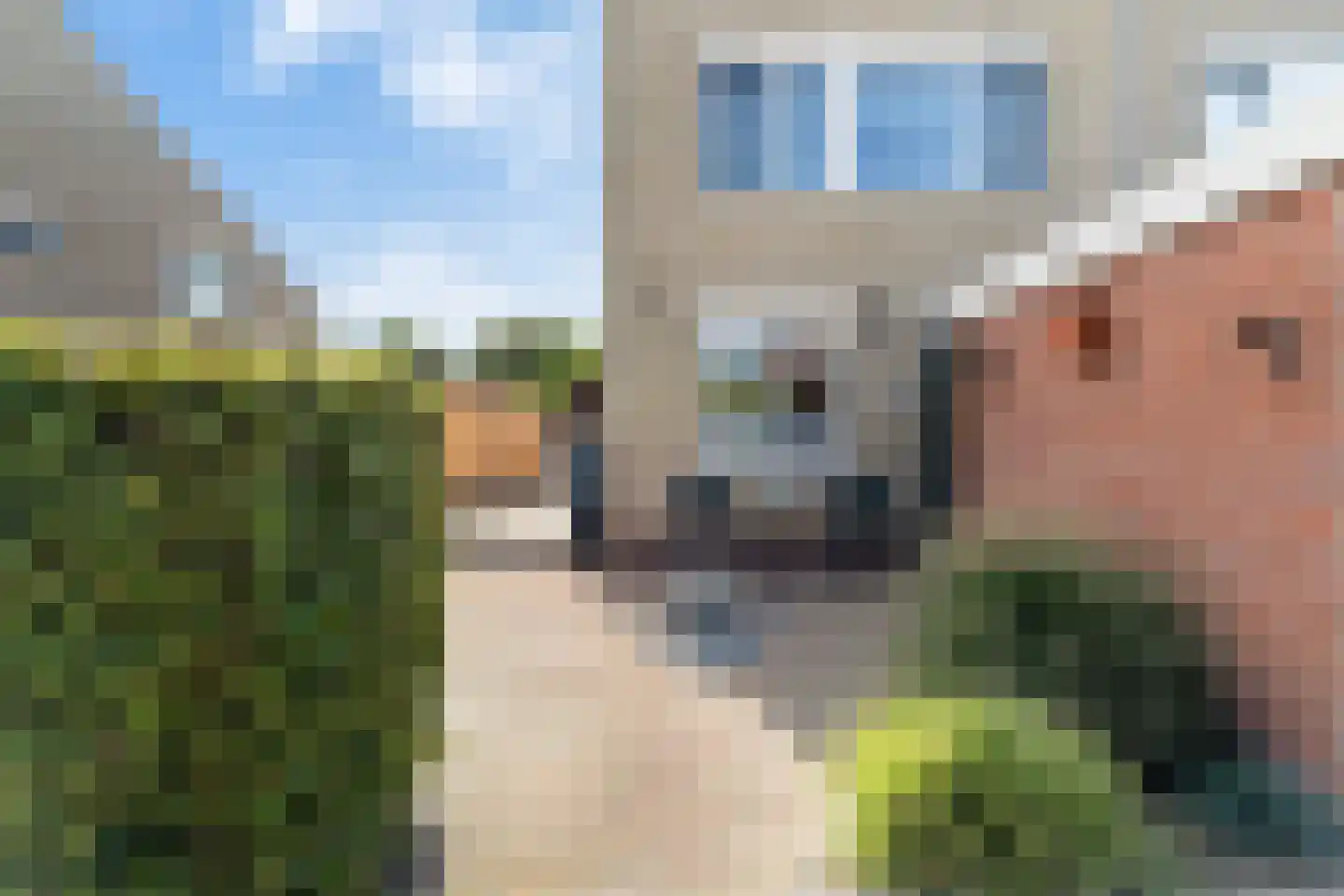 Slangenburch 24 Monster thumbnail 12