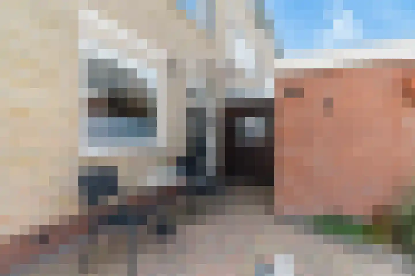 Slangenburch 24 Monster thumbnail 13