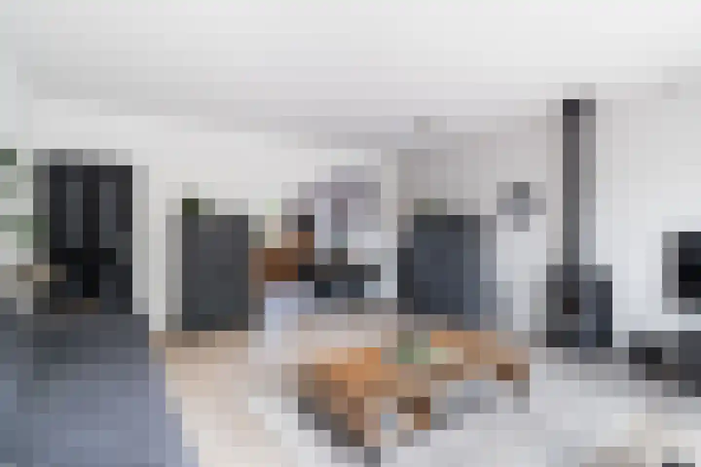 Slangenburch 24 Monster thumbnail 21