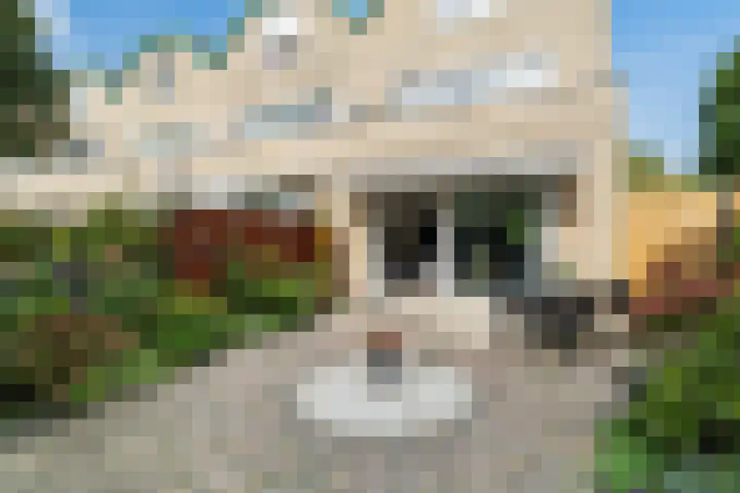 Slangenburch 24 Monster thumbnail 30