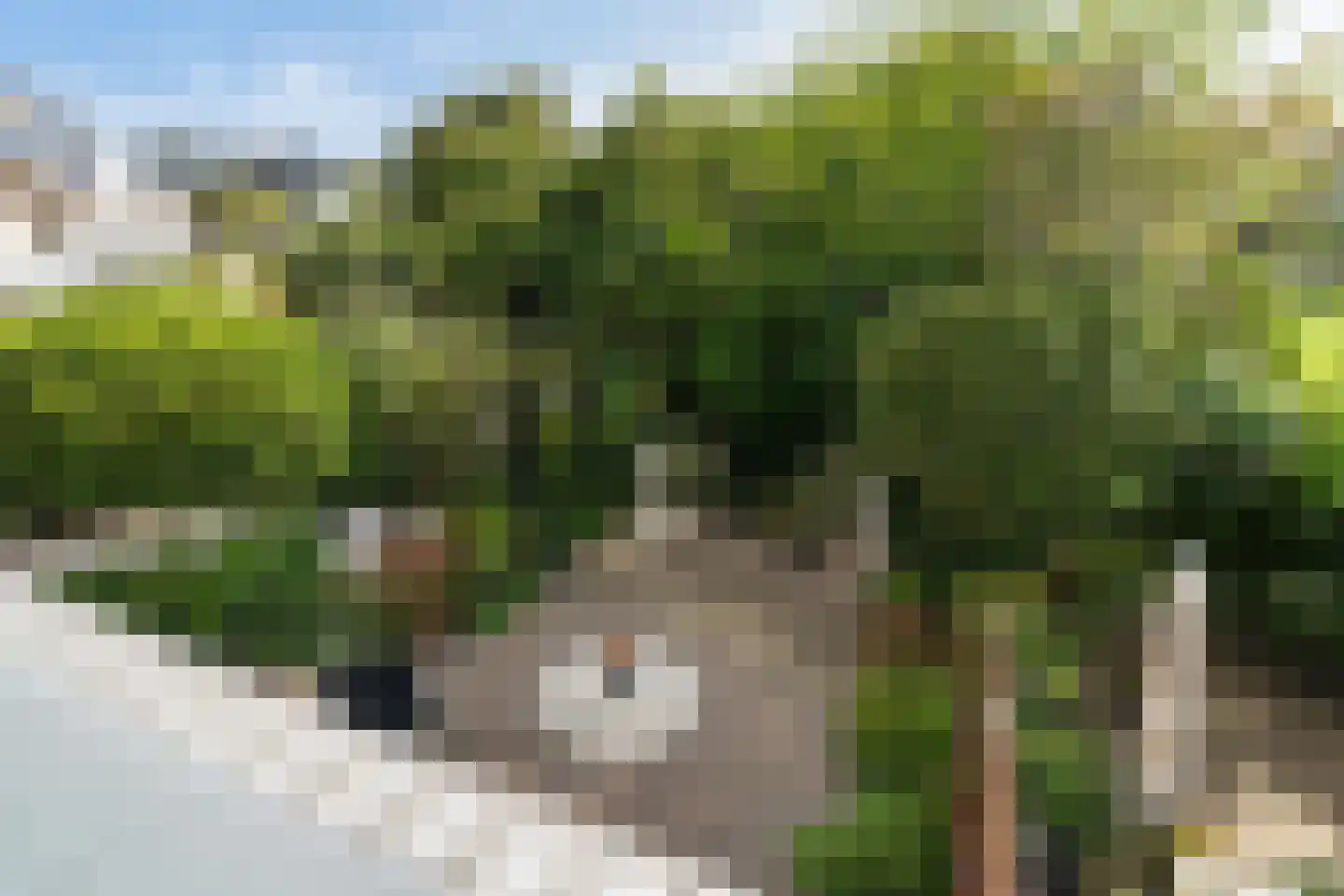 Slangenburch 24 Monster thumbnail 44