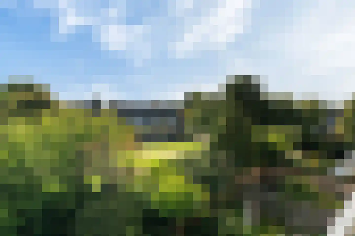Slangenburch 24 Monster thumbnail 51
