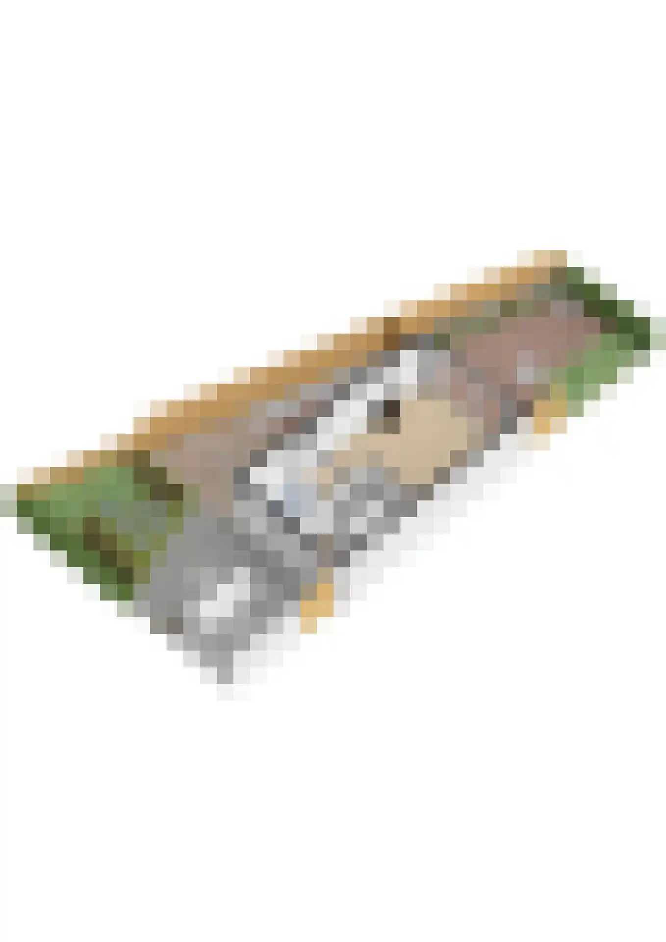 Slangenburch 24 Monster thumbnail 54