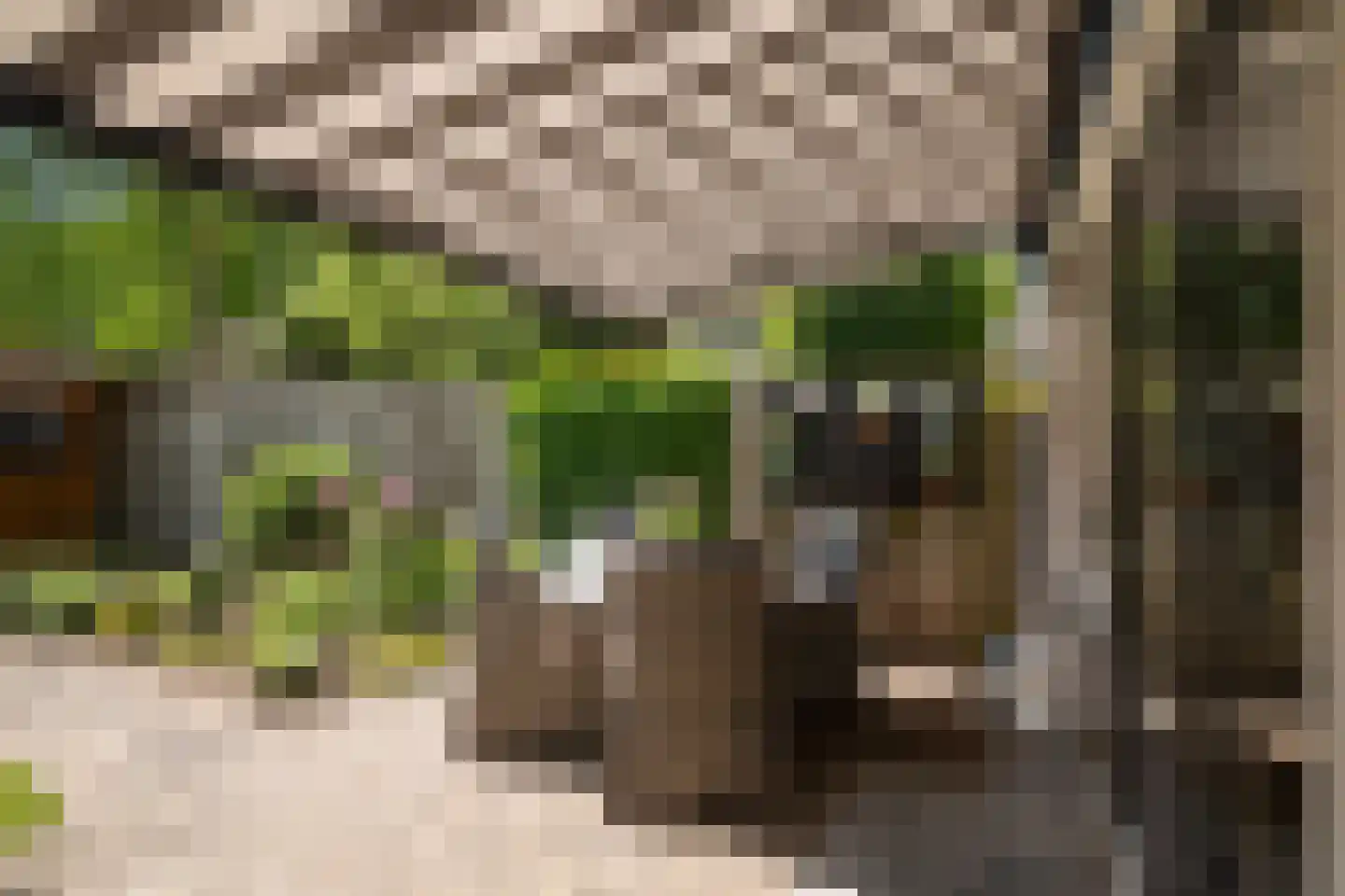 Slangenburg 10 Putten thumbnail 36