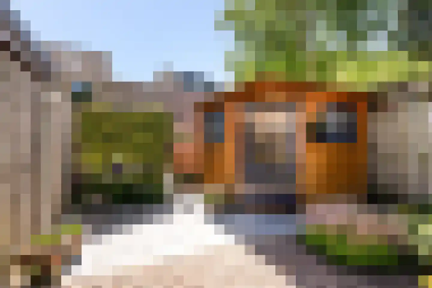 Slangenburg 10 Putten thumbnail 40