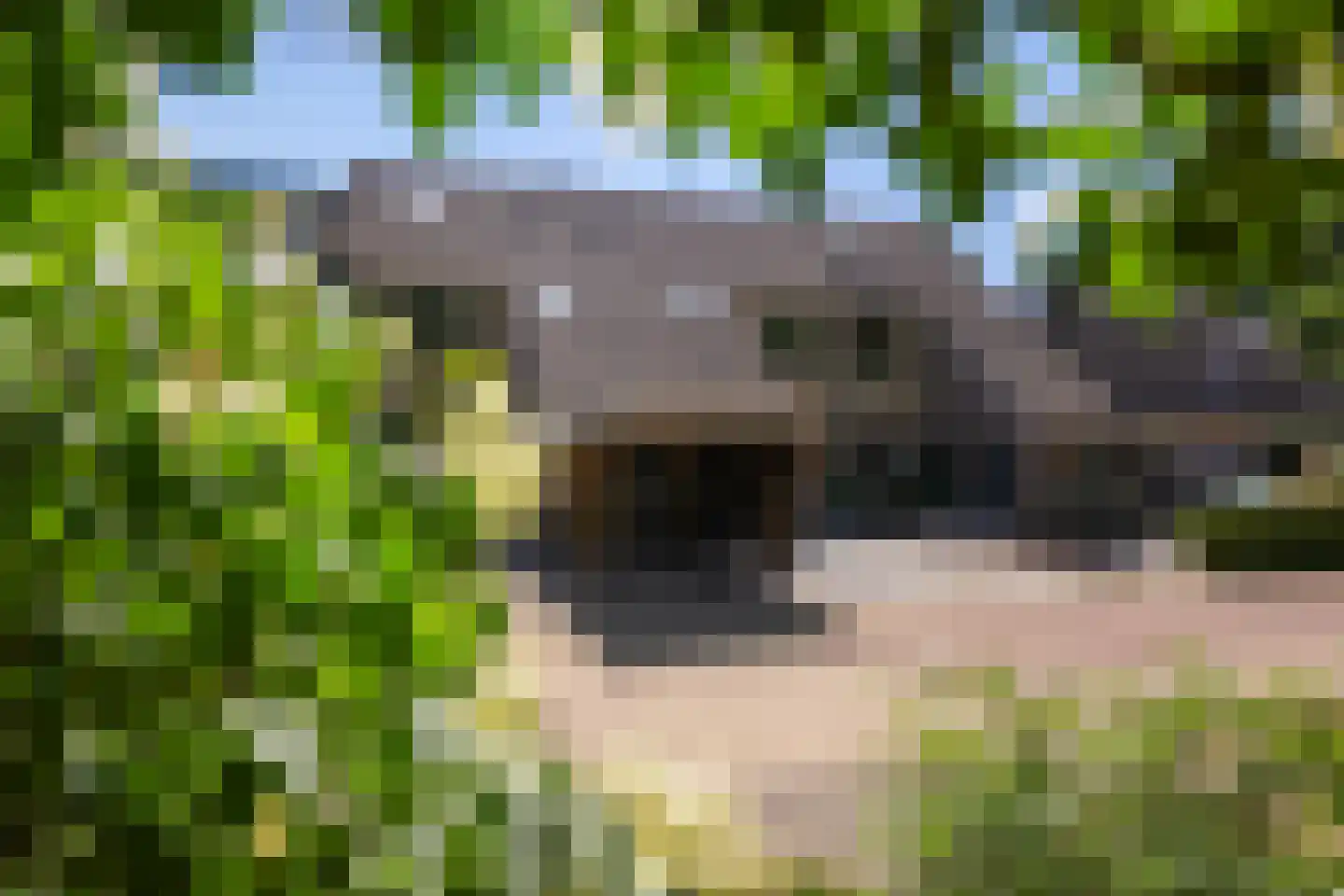 Slangenburg 10 Putten thumbnail 46