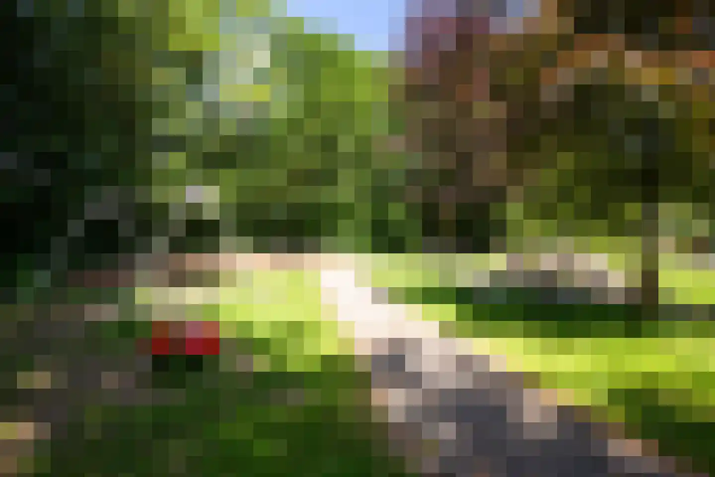 Slangenburg 10 Putten thumbnail 48