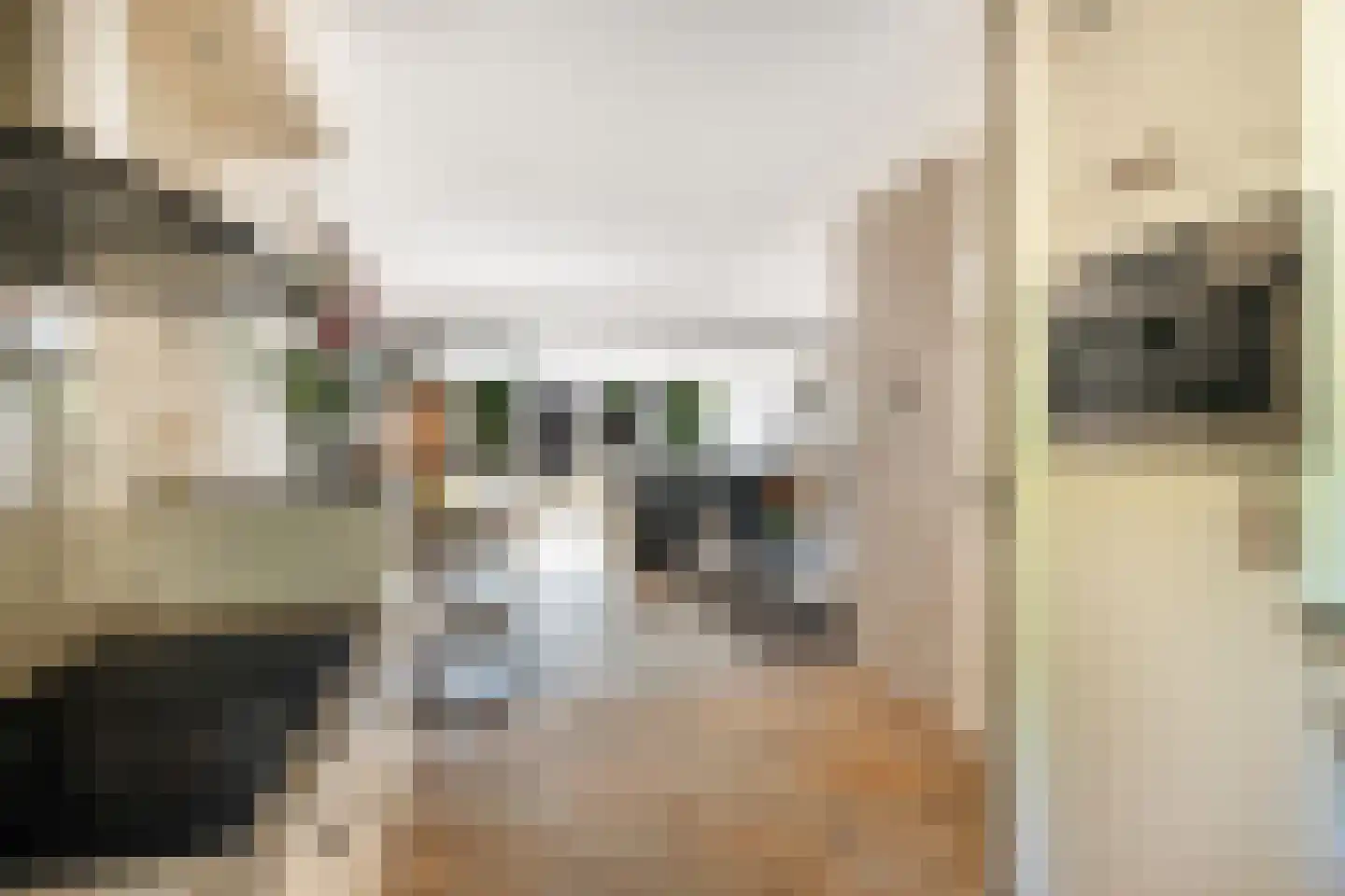 Slangenburg 10 Putten thumbnail 8