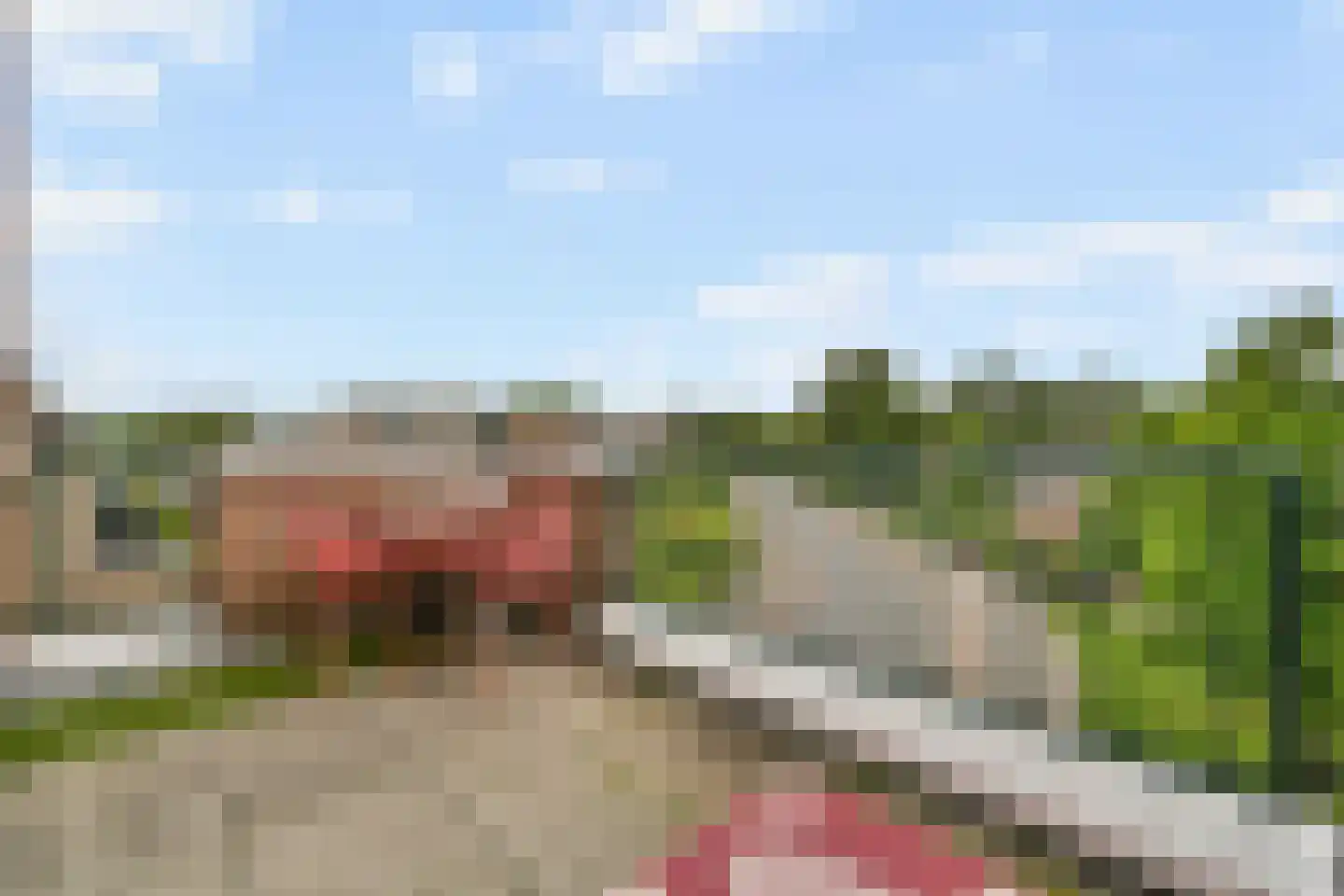 Slangenburg 104 Dordrecht thumbnail 12