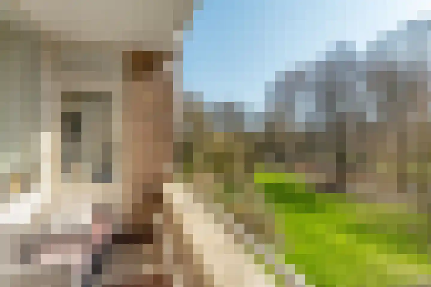 Slangenburg 111 Amsterdam thumbnail 40