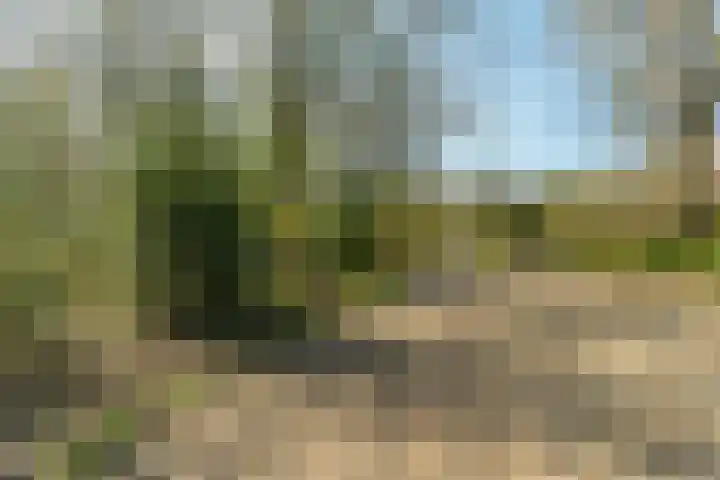 Slangenburg 111 Amsterdam thumbnail 44