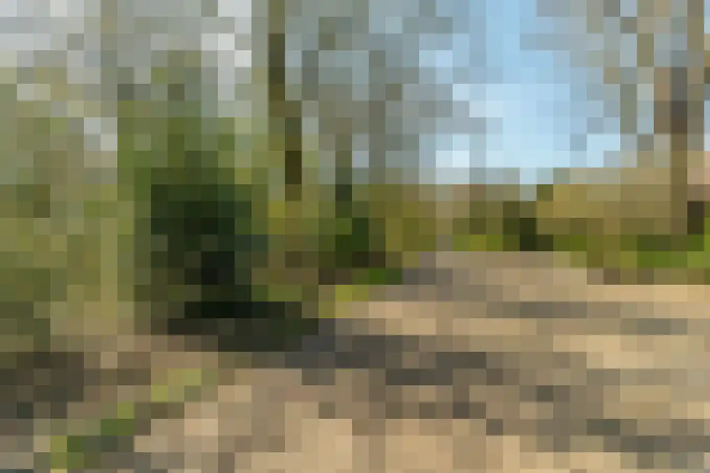 Slangenburg 111 Amsterdam thumbnail 44