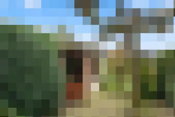 Slangenburg 12 Barneveld thumbnail 16