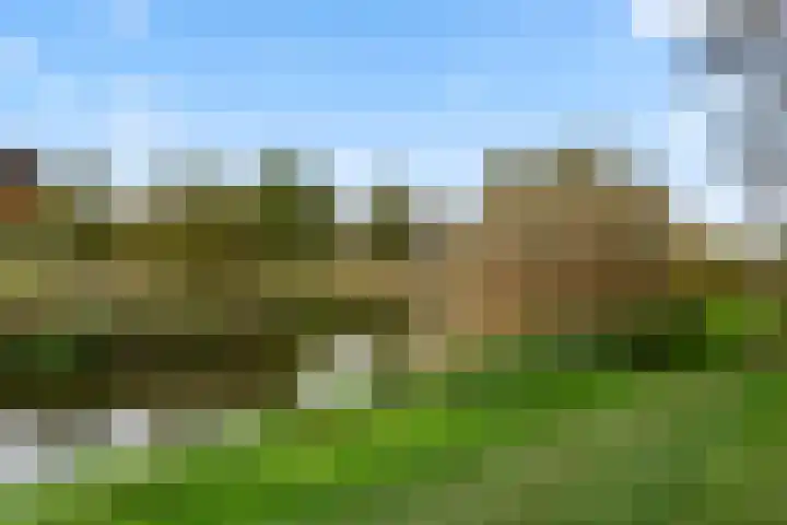 Slangenburg 12 Barneveld thumbnail 18