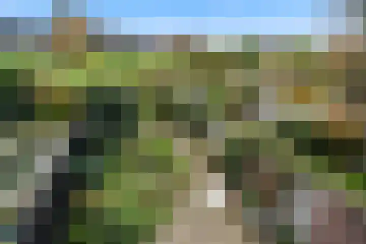 Slangenburg 12 Barneveld thumbnail 29
