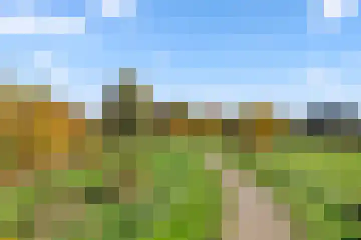Slangenburg 12 Barneveld thumbnail 30