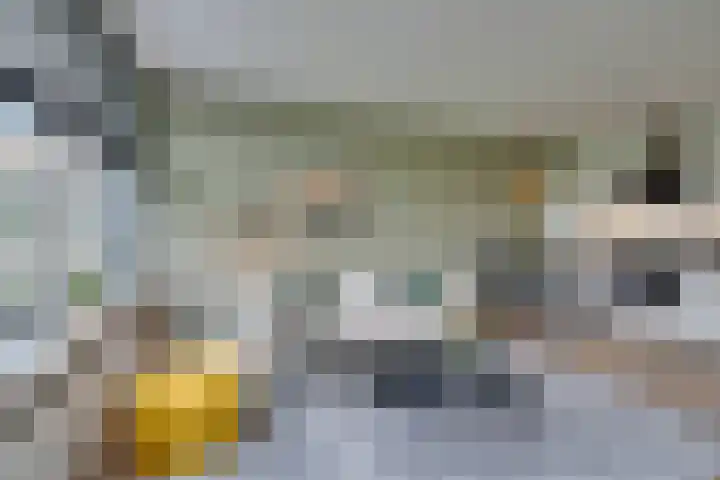 Slangenburg 14 Amsterdam thumbnail 10