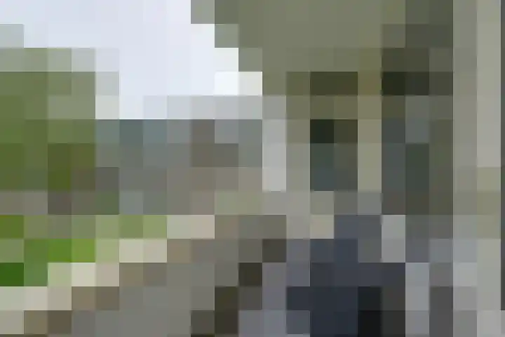 Slangenburg 14 Amsterdam thumbnail 21