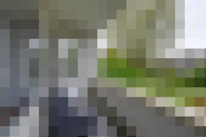 Slangenburg 14 Amsterdam thumbnail 4