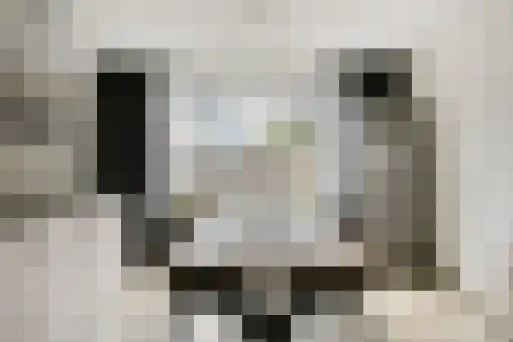 Slangenburg 14 Eindhoven thumbnail 12