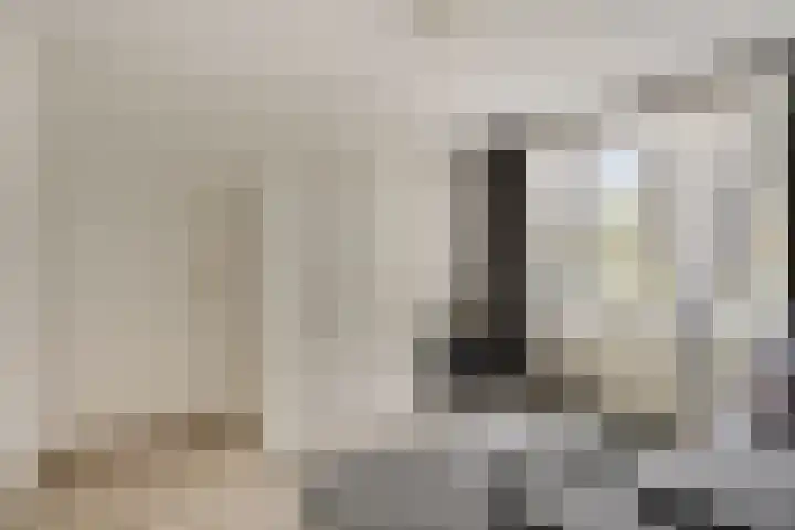 Slangenburg 14 Eindhoven thumbnail 21
