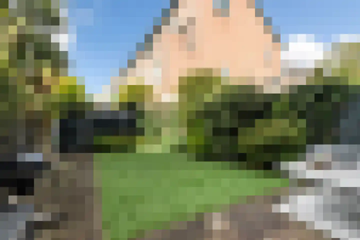 Slangenburg 142 Dordrecht thumbnail 23