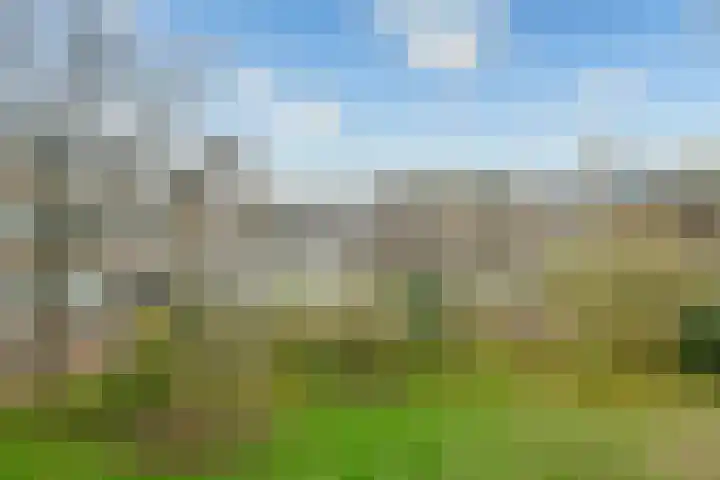 Slangenburg 16 Amsterdam thumbnail 21